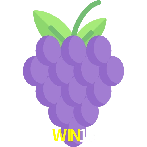 WIN15